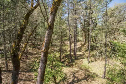 610 Salt Flat Rd, Lewiston, CA 96052 photo 35