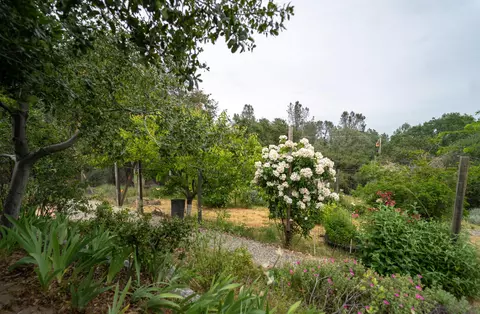 15692 Ranchland Dr, Redding, CA 96001 photo 52