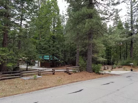 9364 Pharisee Dr, Shingletown, CA 96088 photo 21