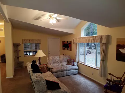 9364 Pharisee Dr, Shingletown, CA 96088 photo 23