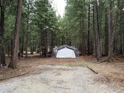 9364 Pharisee Dr, Shingletown, CA 96088 photo 57