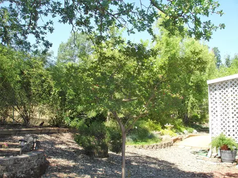 304 Lime Ct Sp #32, Redding, CA 96003 photo 29