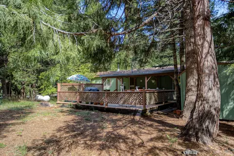 8219 Ritts Mill Rd, Shingletown, CA 96088 photo 50