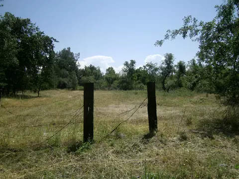 7205 Pit Rd, Redding, CA 96001 photo 3