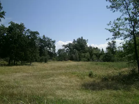 7205 Pit Rd, Redding, CA 96001 photo 6