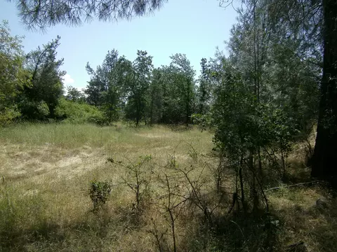 7205 Pit Rd, Redding, CA 96001 photo 8