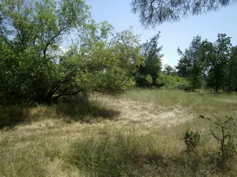 7205 Pit Rd, Redding, CA 96001 photo 7