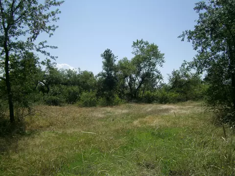 7205 Pit Rd, Redding, CA 96001 photo 2