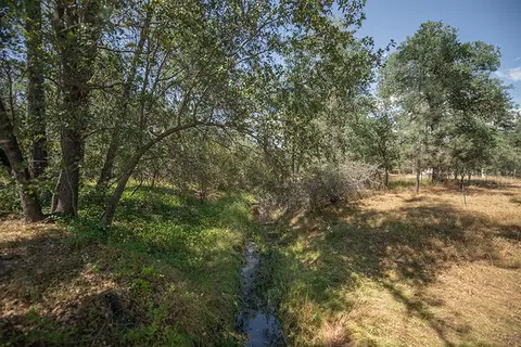 13839 Daniels Ln, Redding, CA 96003 photo 39