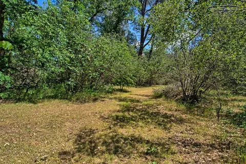 9833 Forgotten Trl, Redding, CA 96003 photo 41