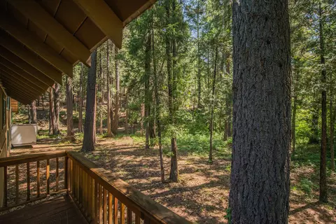 200 Coffee Creek Rd, Coffee Creek, CA 96091 photo 27