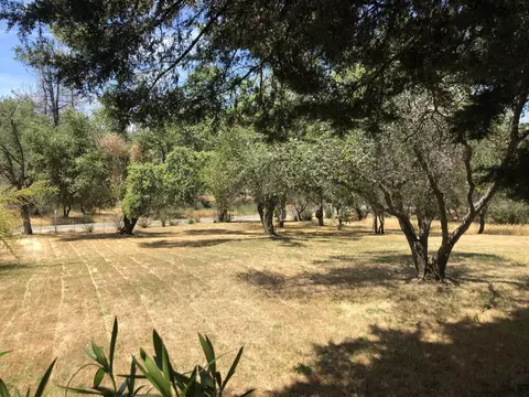 11081 Granite Dr, Shasta, CA 96087 photo 17