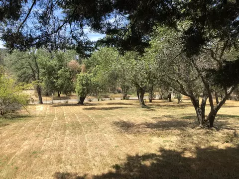 11081 Granite Dr, Shasta, CA 96087 photo 16