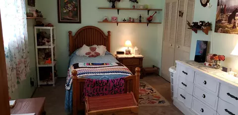 37450 Mountain View Rd, Burney, CA 96013 photo 8