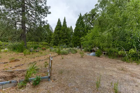 32669 Emigrant Trl, Shingletown, CA 96088 photo 10