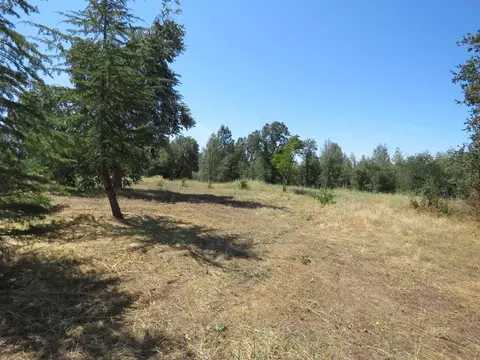 11672 Roberta Way, Bella Vista, CA 96008 photo 16