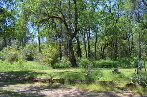 7333 Rector Creek Rd, Igo, CA 96047 photo 20