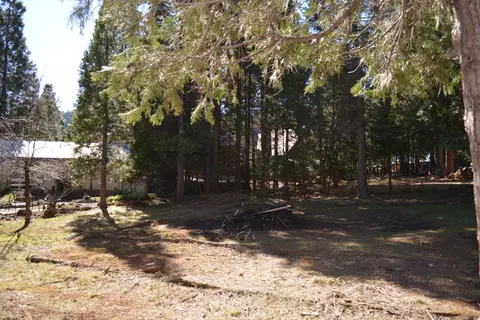 300 Azalea Dr, Trinity Center, CA 96091 photo 25
