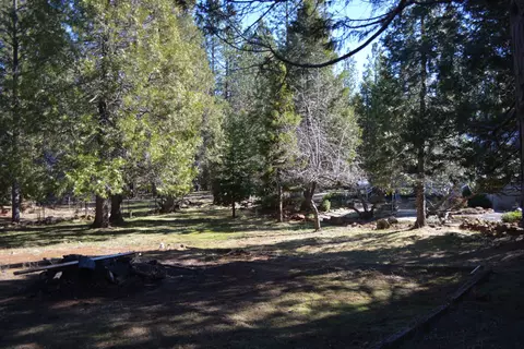 300 Azalea Dr, Trinity Center, CA 96091 photo 24