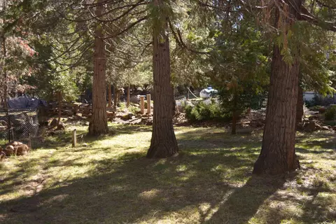 300 Azalea Dr, Trinity Center, CA 96091 photo 23