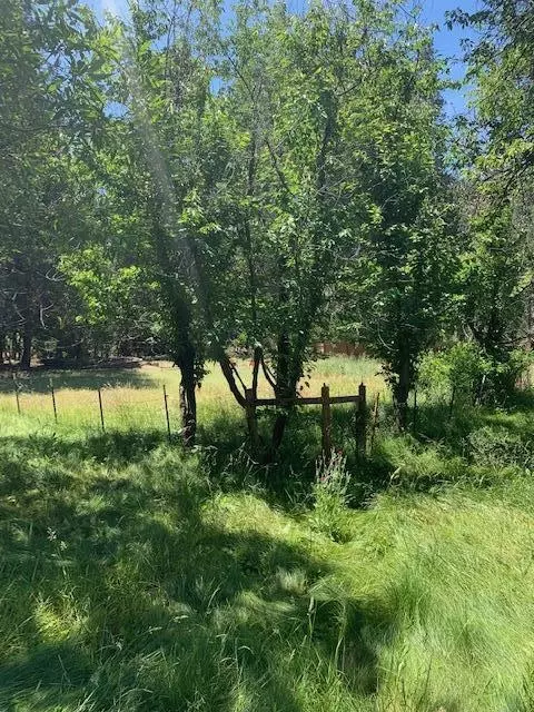 16005 Ca-89, Hat Creek, CA 96040 photo 28