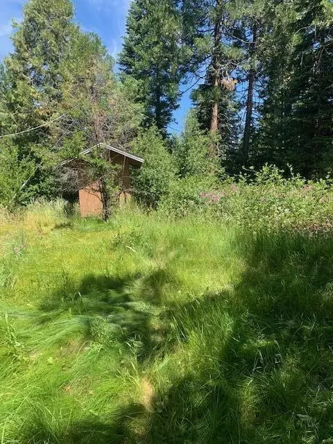16005 Ca-89, Hat Creek, CA 96040 photo 21