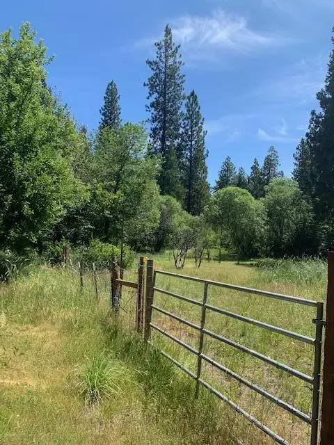16005 Ca-89, Hat Creek, CA 96040 photo 31