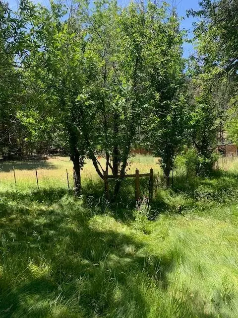 16005 Ca-89, Hat Creek, CA 96040 photo 27