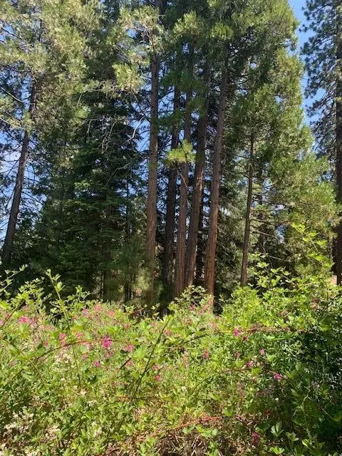 16005 Ca-89, Hat Creek, CA 96040 photo 25