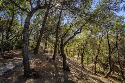 7319 Bohn Blvd, Anderson, CA 96007 photo 33