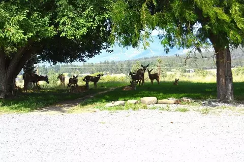 45540 Dee Knoch Rd, Mcarthur, CA 96056 photo 80
