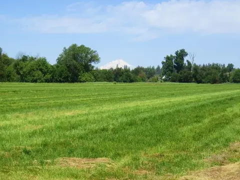 45540 Dee Knoch Rd, Mcarthur, CA 96056 photo 2