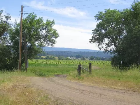 45540 Dee Knoch Rd, Mcarthur, CA 96056 photo 79