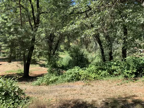 19683 Gregory Creek Rd, Lakehead, CA 96051 photo 42