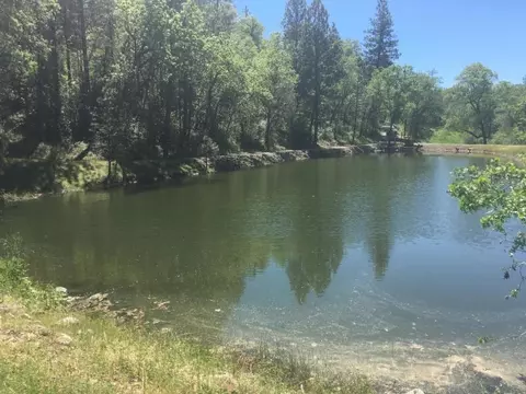 28914 Whitmore Rd, Whitmore, CA 96096 photo 31