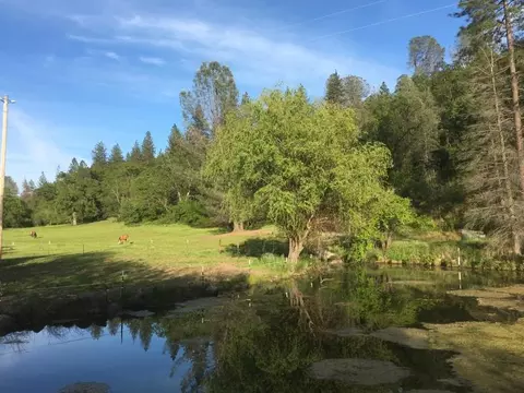 28914 Whitmore Rd, Whitmore, CA 96096 photo 24