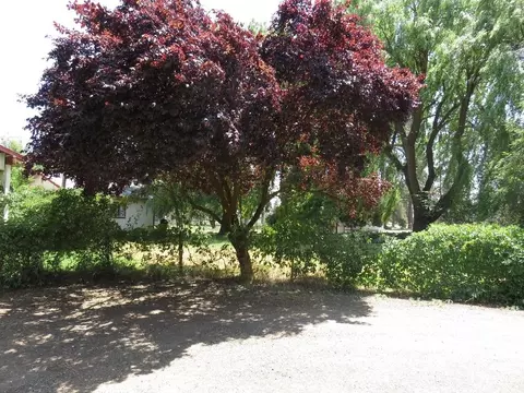 44661 Dee Knoch Rd, Fall River Mills, CA 96028 photo 29
