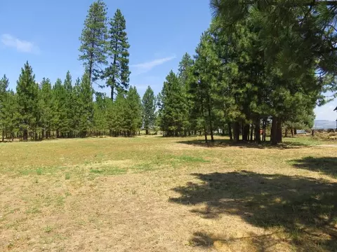 44661 Dee Knoch Rd, Fall River Mills, CA 96028 photo 25