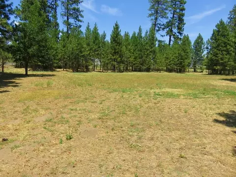 44661 Dee Knoch Rd, Fall River Mills, CA 96028 photo 23