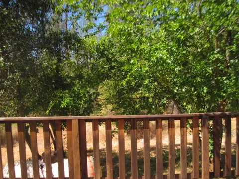 8980 Chaparral Dr, Redding, CA 96001 photo 16