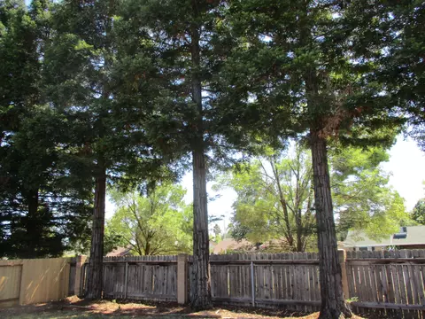 3320 Forest Homes Dr, Redding, CA 96002 photo 11