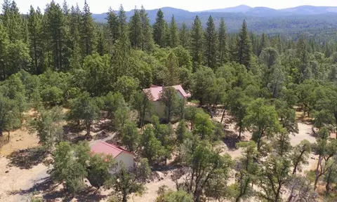 15915 Dragon Fly Dr, Oak Run, CA 96069 photo 14