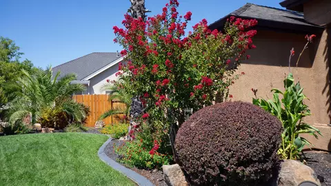 4597 Blue Creek Dr, Redding, CA 96002 photo 9