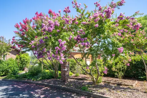 6251 Riverside Dr, Redding, CA 96001 photo 8