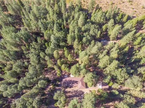 29820 Westmoore Rd, Shingletown, CA 96088 photo 47