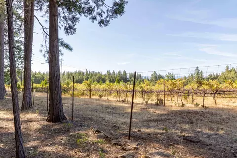 29820 Westmoore Rd, Shingletown, CA 96088 photo 46