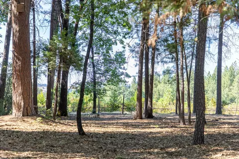 29820 Westmoore Rd, Shingletown, CA 96088 photo 45