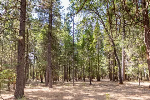 29820 Westmoore Rd, Shingletown, CA 96088 photo 44