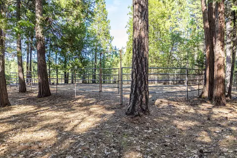 29820 Westmoore Rd, Shingletown, CA 96088 photo 41