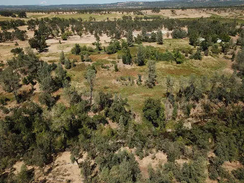 11459 Angler Ave, Whitmore, CA 96096 photo 19